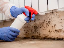 Best HVAC Mold Inspection and Cleaning  in Bladenboro, NC